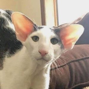 Meet your Posher, Liv